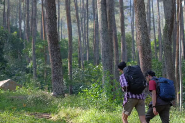 Trekking