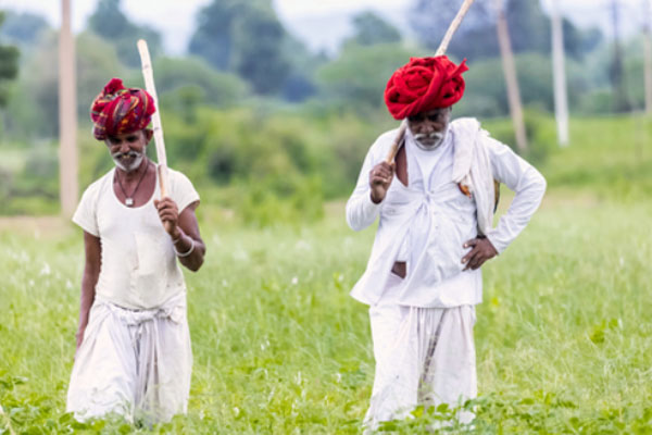 Jawai Culture
